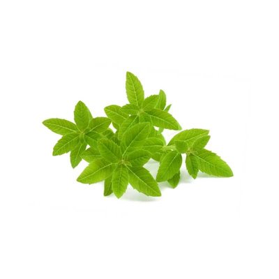 Verveine séchée