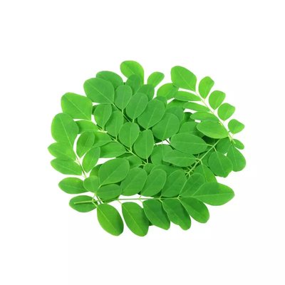 Moringa en feuilles séchées