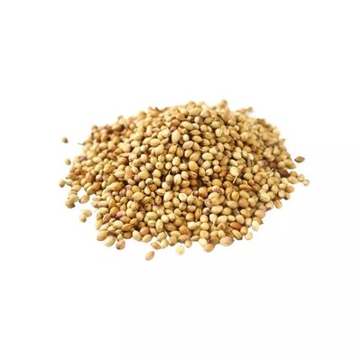 Graines de Coriandre