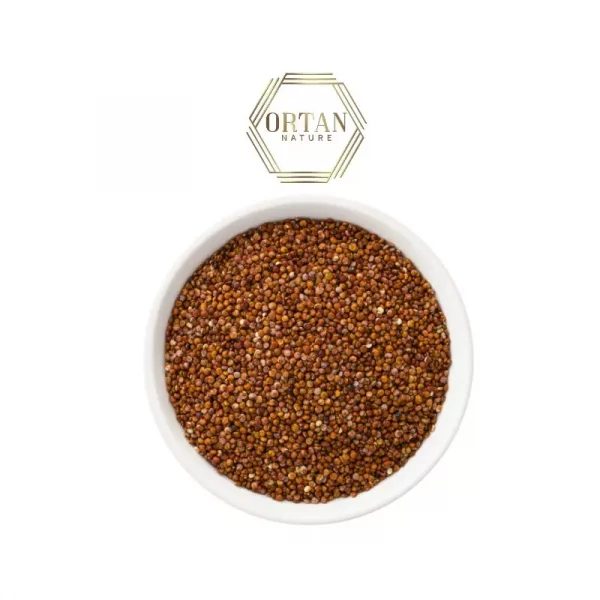 Graines de Quinoa Ortan-nature Maroc Marrakech